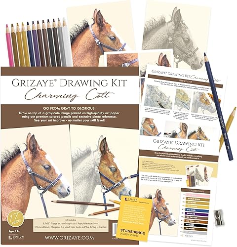 Grizaye Kit de dibujo Charming Colt Juego de 12 lápices de colores fotos paso a paso y guía de colores