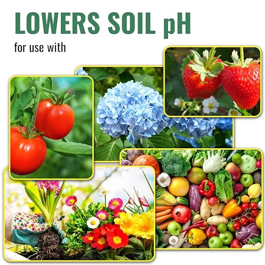 Sulfuro en bolsa de 2 lb para fertilizante orgánico para plantas miniatura 5
