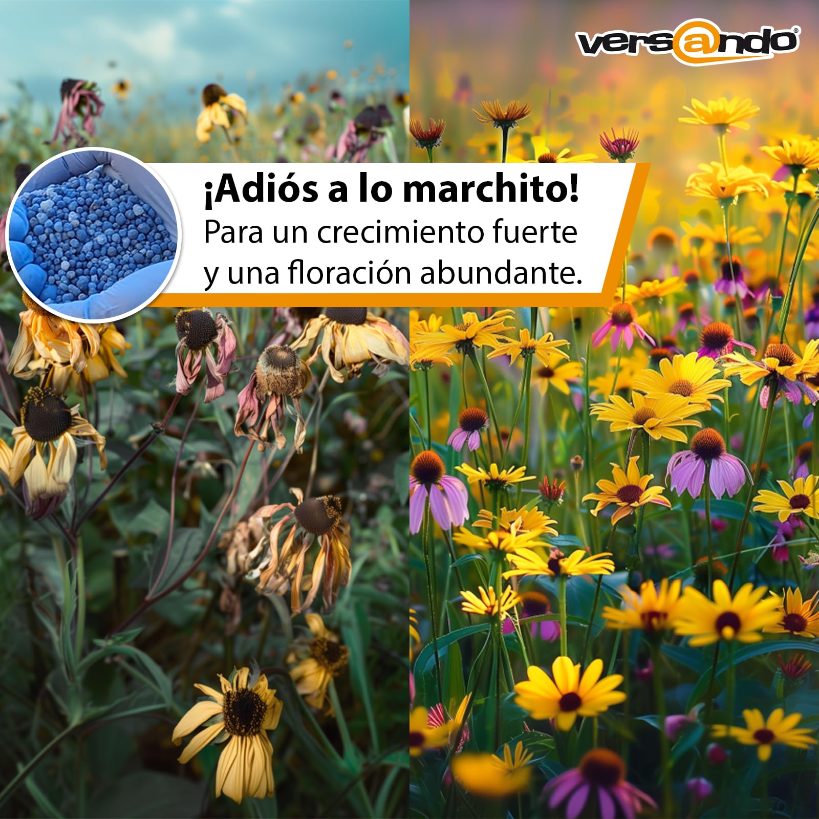 versando 10kg abono azul hasta 150m²: abono NPK para frutas, verduras y | plantas fuertes con efecto a largo plazo