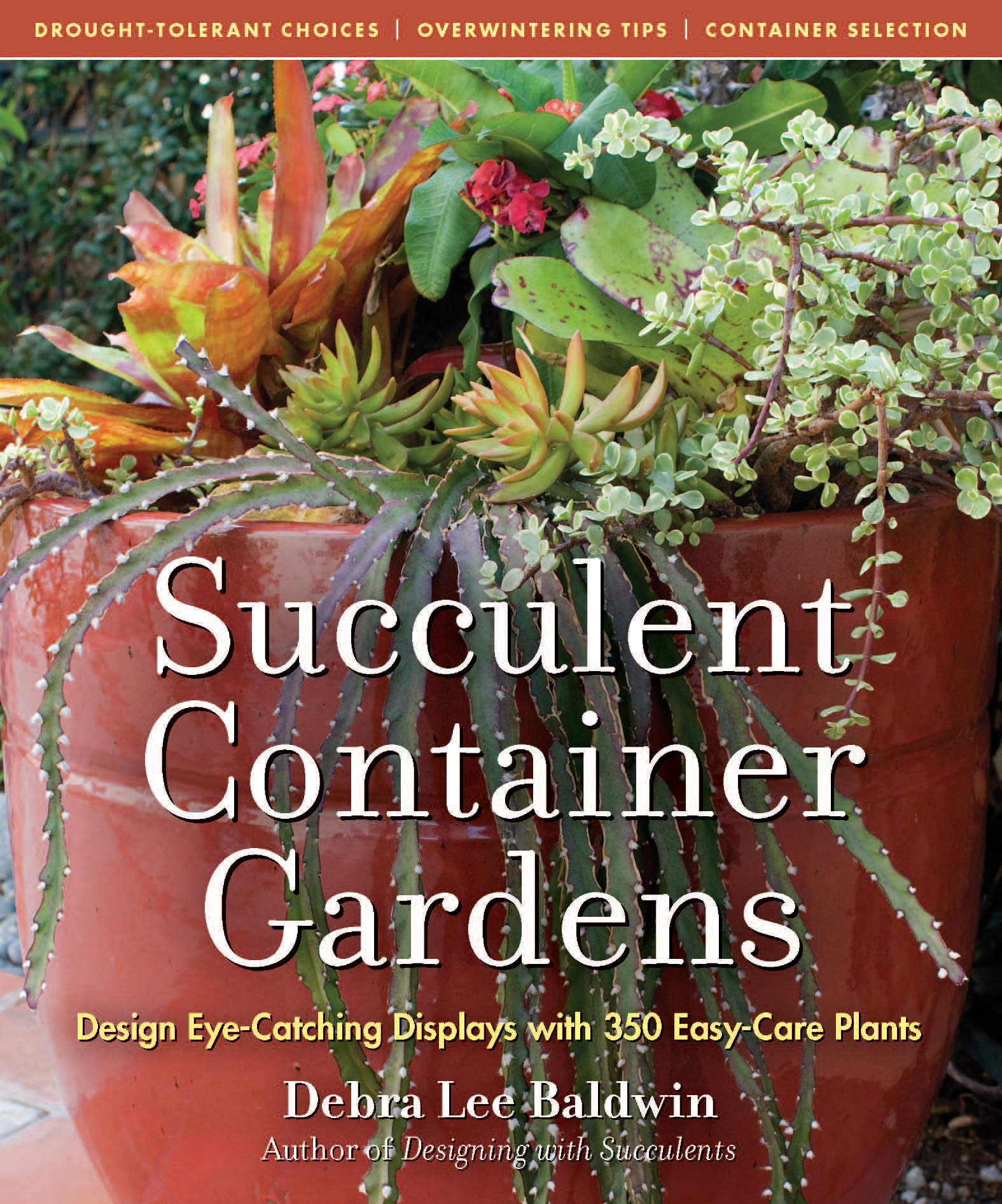 Amazon Succulent Container Gardens Design Eye Catching Displays With 350 Easy Care Plants Baldwin Debra Lee Container Gardening