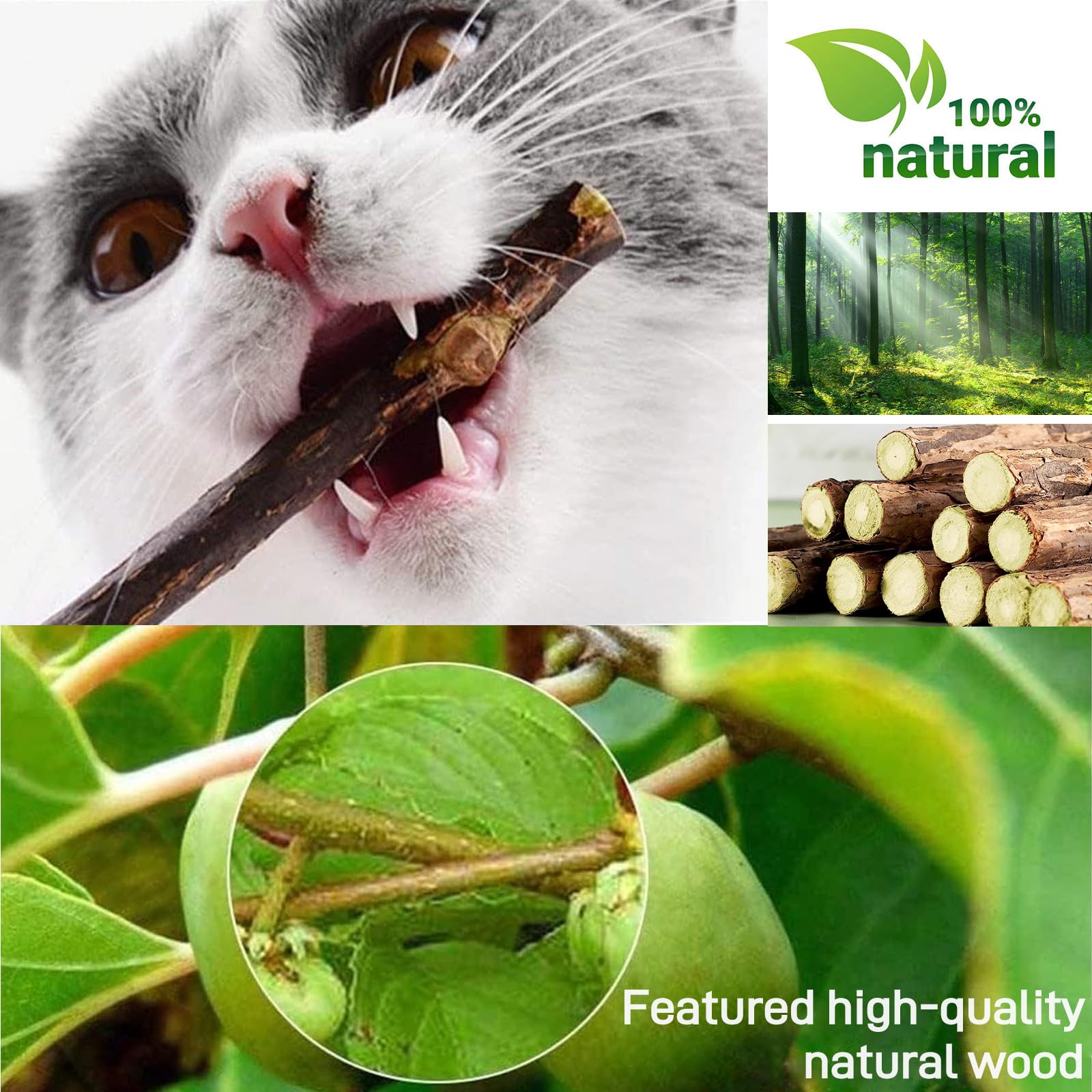 Bastoncini di Erba gatta Naturali Matatabi Silvervine per Gatti, Confezione da 30 Pezzi