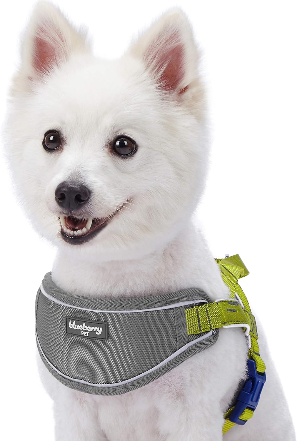 Blueberry Pet Comfy 3M Reflective Strips Padded Dog Harness Vest, Chest