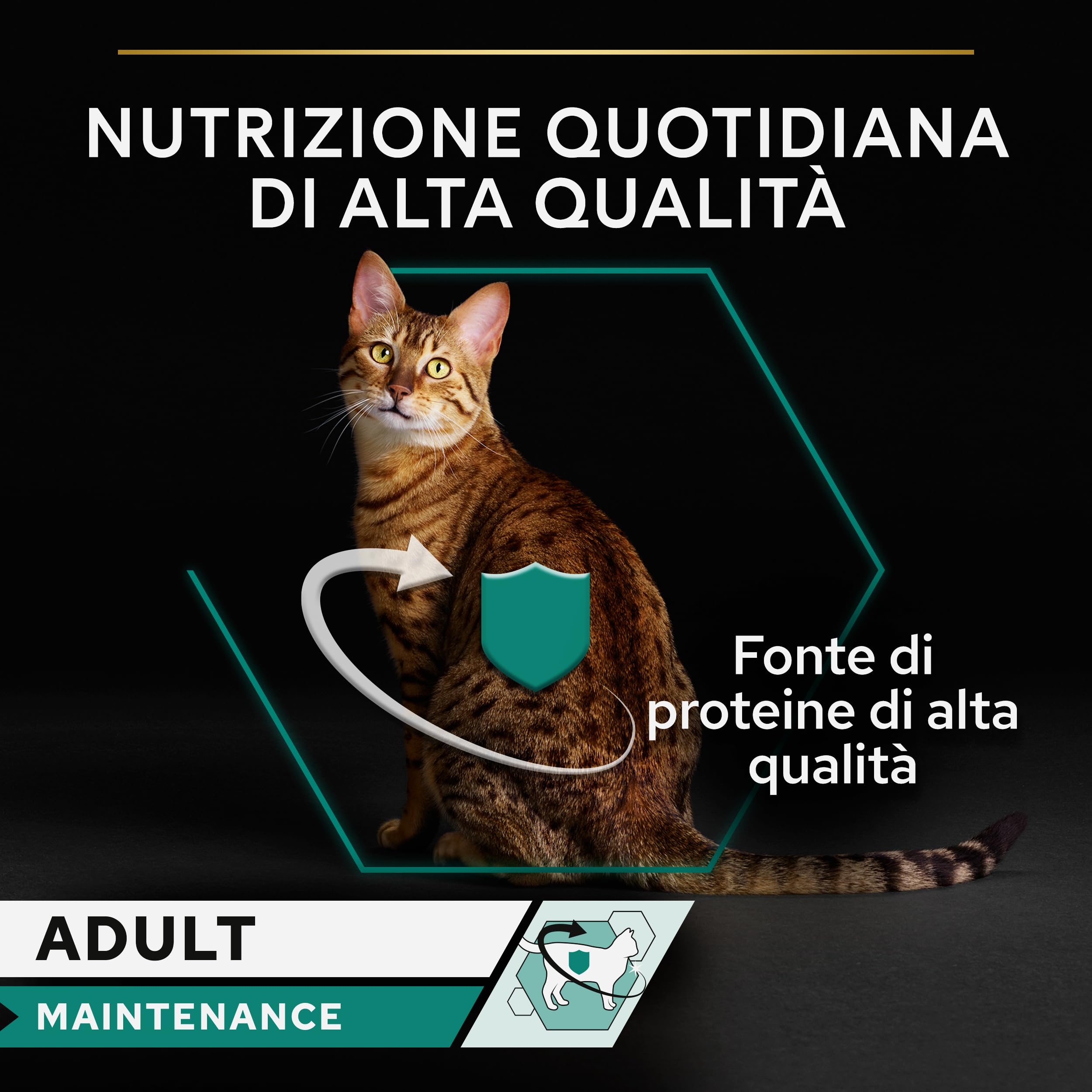 PURINA PRO PLAN | Adult STERILISED MAINTENANCE | Aliment Complet pour Chat Adulte Stérilisé | Aide à maintenir une bonne santé urinaire | Terrine | Au Poulet | Boîte | Lot de 24 x 85g