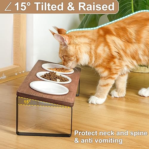 Miniatura 3 de Sunhoo Juego de 3 platos elevados de cerámica inclinados para gatos de interior, soporte ortopédico de comida para mascotas, reduce el vómito, 3