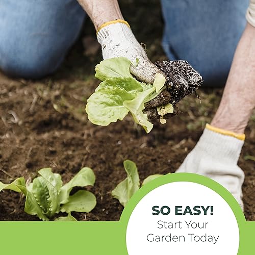 Miniatura 5 de Window Garden - Iniciador, semillas, fibra para suelo