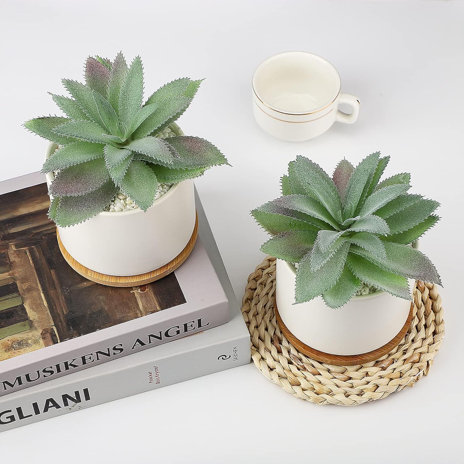 Hopewood Artificial Succulents Plant, Faux Agave Succulent Plant in Ceramic Pots with Bamboo Tray, Fake Potted Plants for Office Desk Living Room Decor(Set of 2)