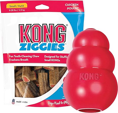 kong toy amazon