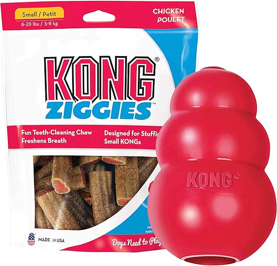kong ziggies large