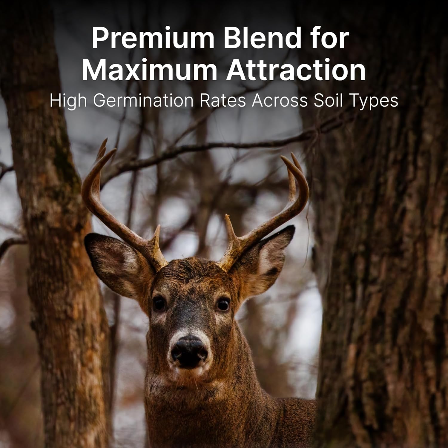 HIT LIST SEED® Elite 8 Fall Food Plot Seeds for Deer [ANNUAL MIX] - Deer Food Plot Seed - Deer Plot Seed Mix - Turnip, Radish, Brassica, Clover, Wheat, Rye, Oats, Peas - Fall Planting -10 lbs 1/2 Acre