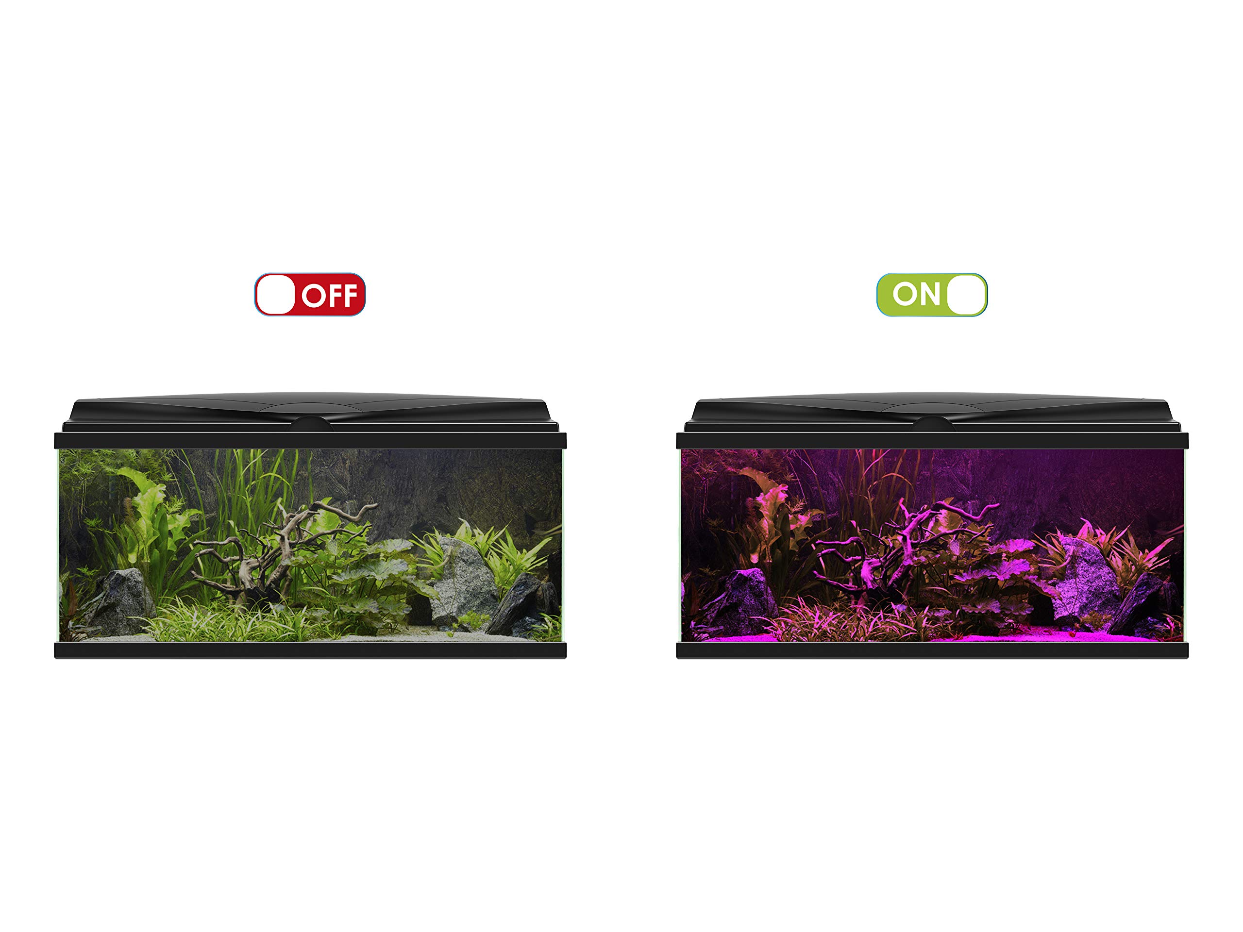 CLA 60 Piante Nere Lighting z Przetwornikiem