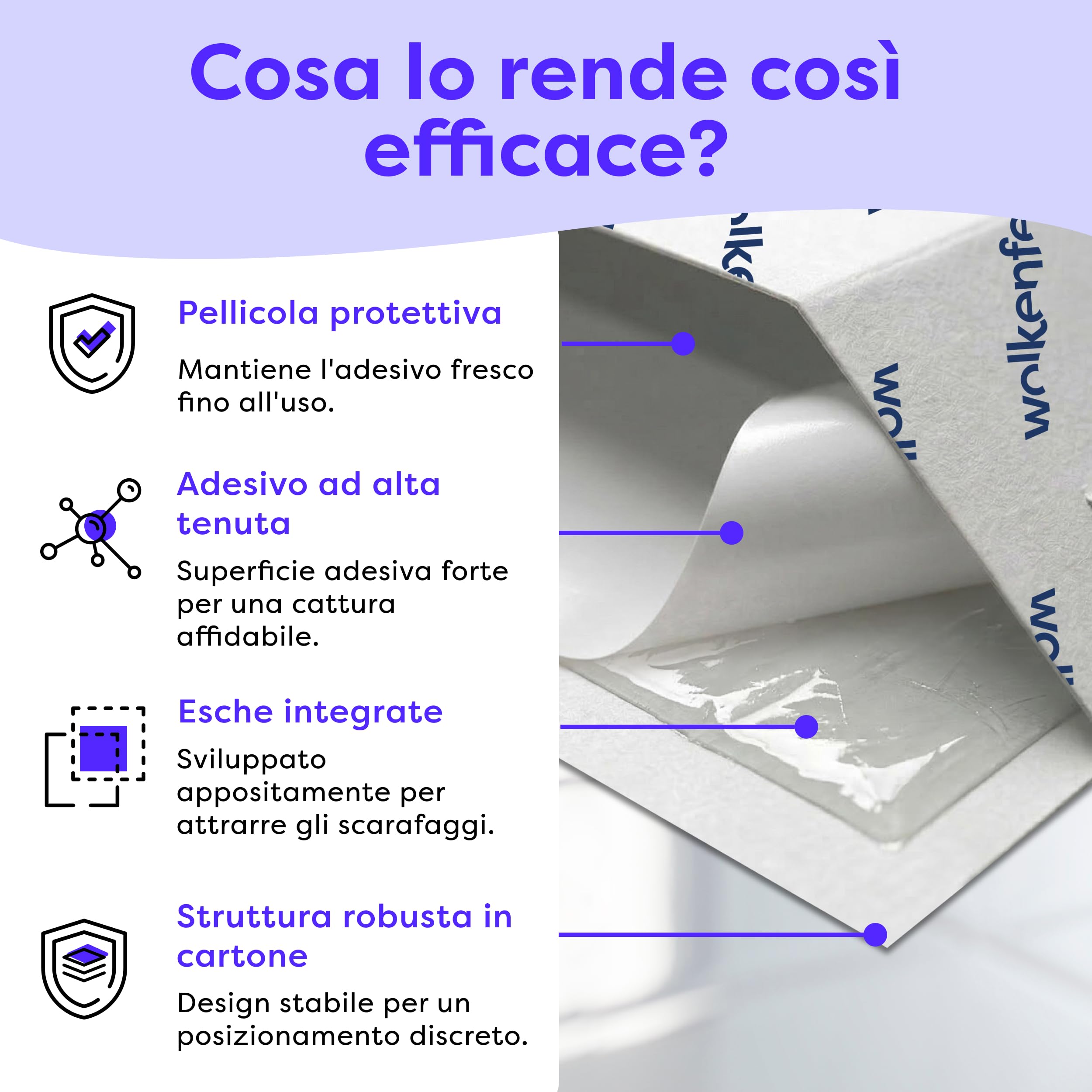 Wolkenfeld 12 Trappole Scarafaggi e Blatte da Interno – Esca Naturale Adesiva per Disinfestazione Casa – Alternativa a Gel Scarafaggi, Spray e Veleno Blatte – Made in Germany