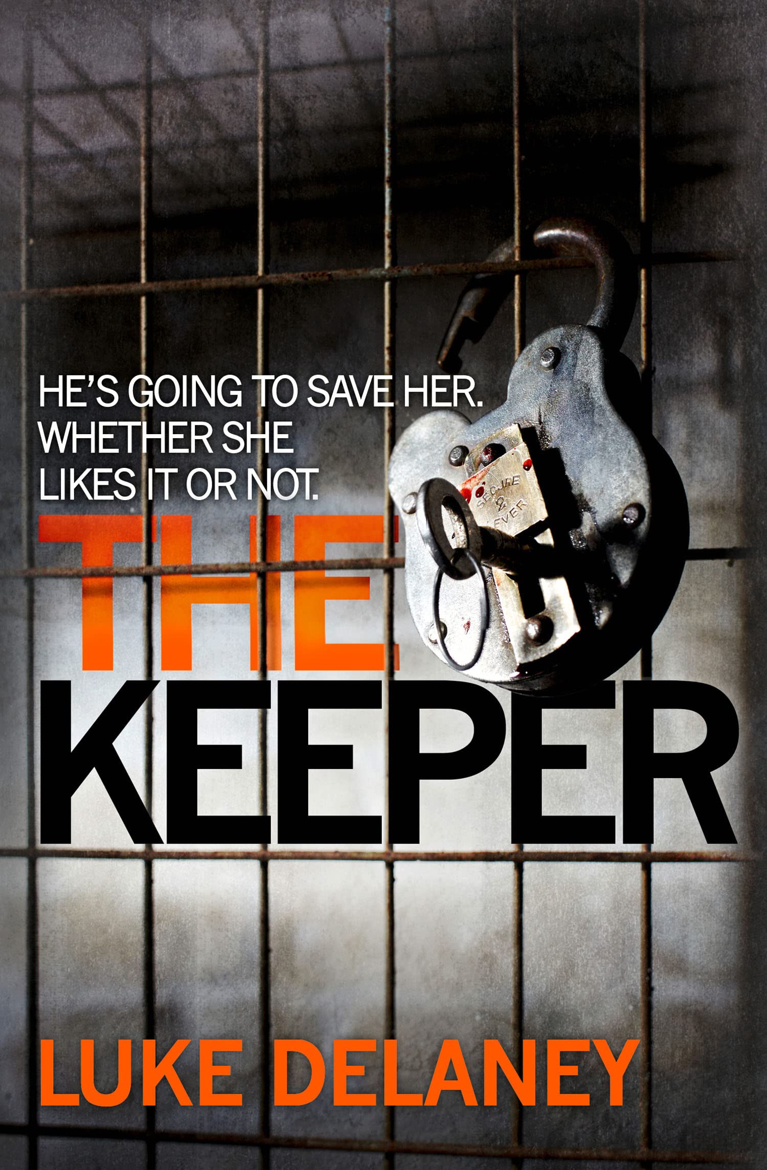 The Keeper Book 2 DI Sean Corrigan by Luke Delaney PAPERBACK 9780007486113