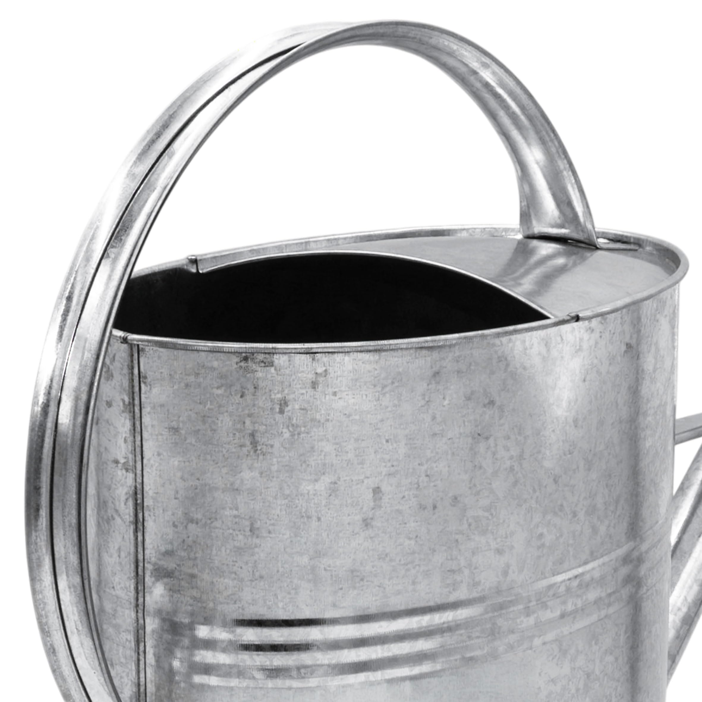 Regadera de jardín galvanizado 10 L, interior y exterior, metal con cabezal de ducha desmontable, zinc nostálgico resistente a las inclemencias del tiempo