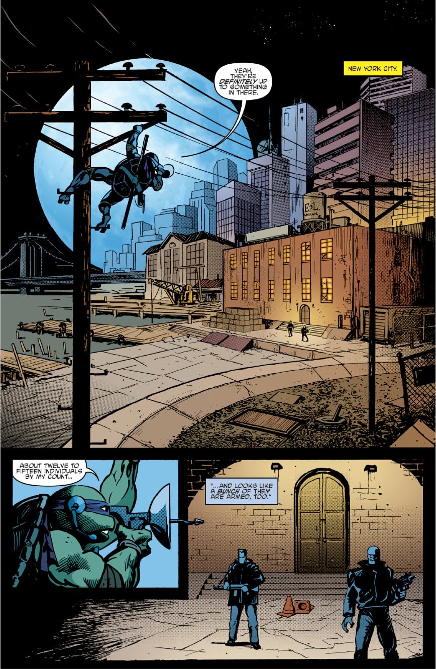 Teenage Mutant Ninja Turtles: Ongoing Compendium, Vol. 2