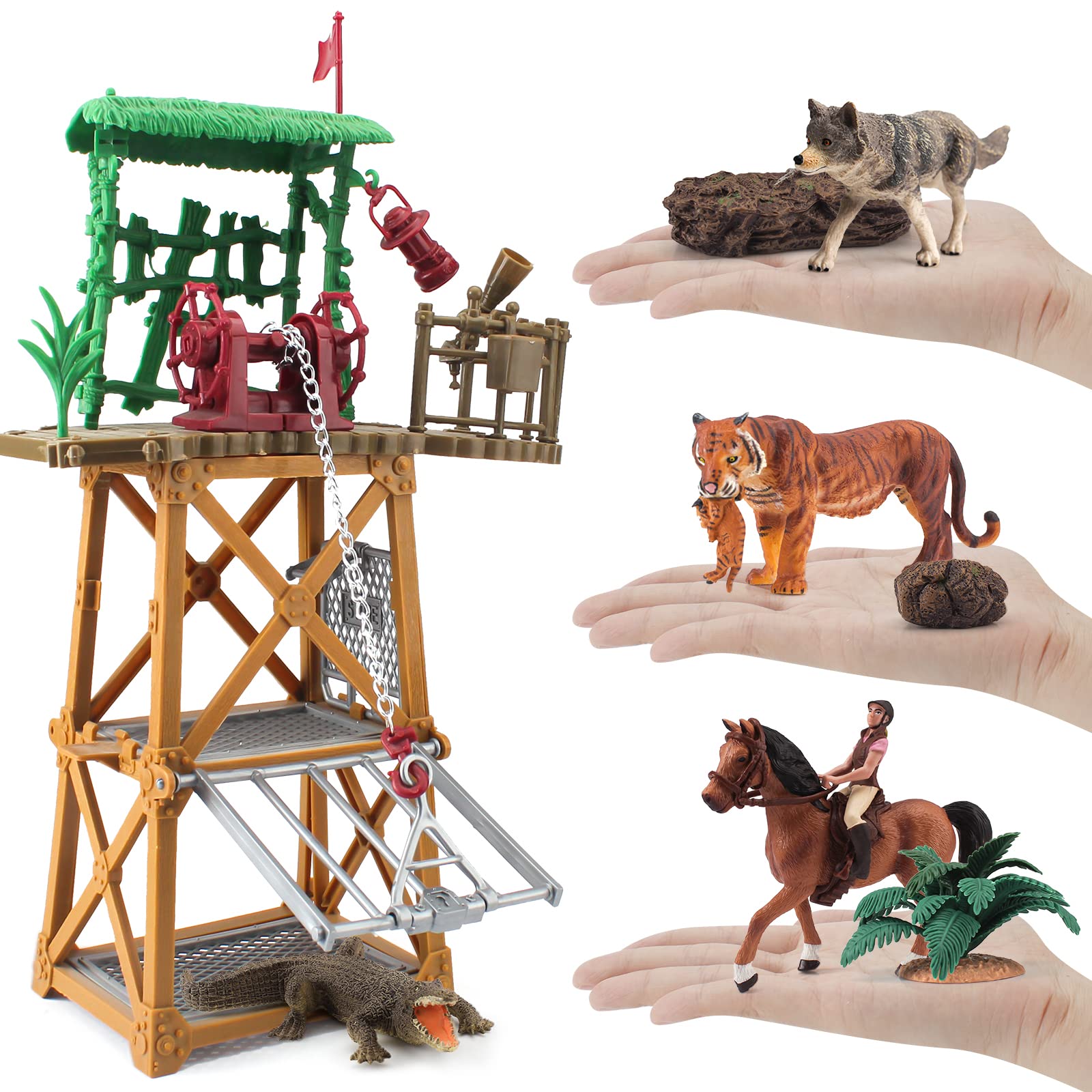 エキゾチックアニマル飼育セット 【公式通販】