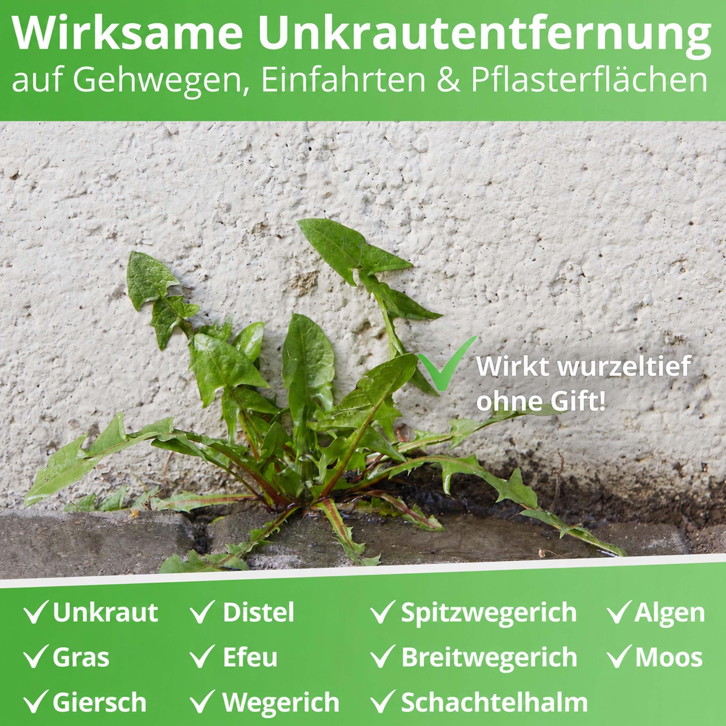 Nanoprotect Unkraut-Stopp Grundstoff Essig/Acetum 5 Liter | Natürlicher Unkrautvernichter für Wege, Pflaster & Terrassen | Biologisch abbaubar | Vinegar E 260 Lebensmittelqualität | Essigsäure
