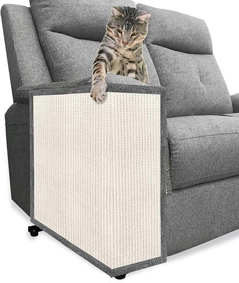 protect sofa from cat