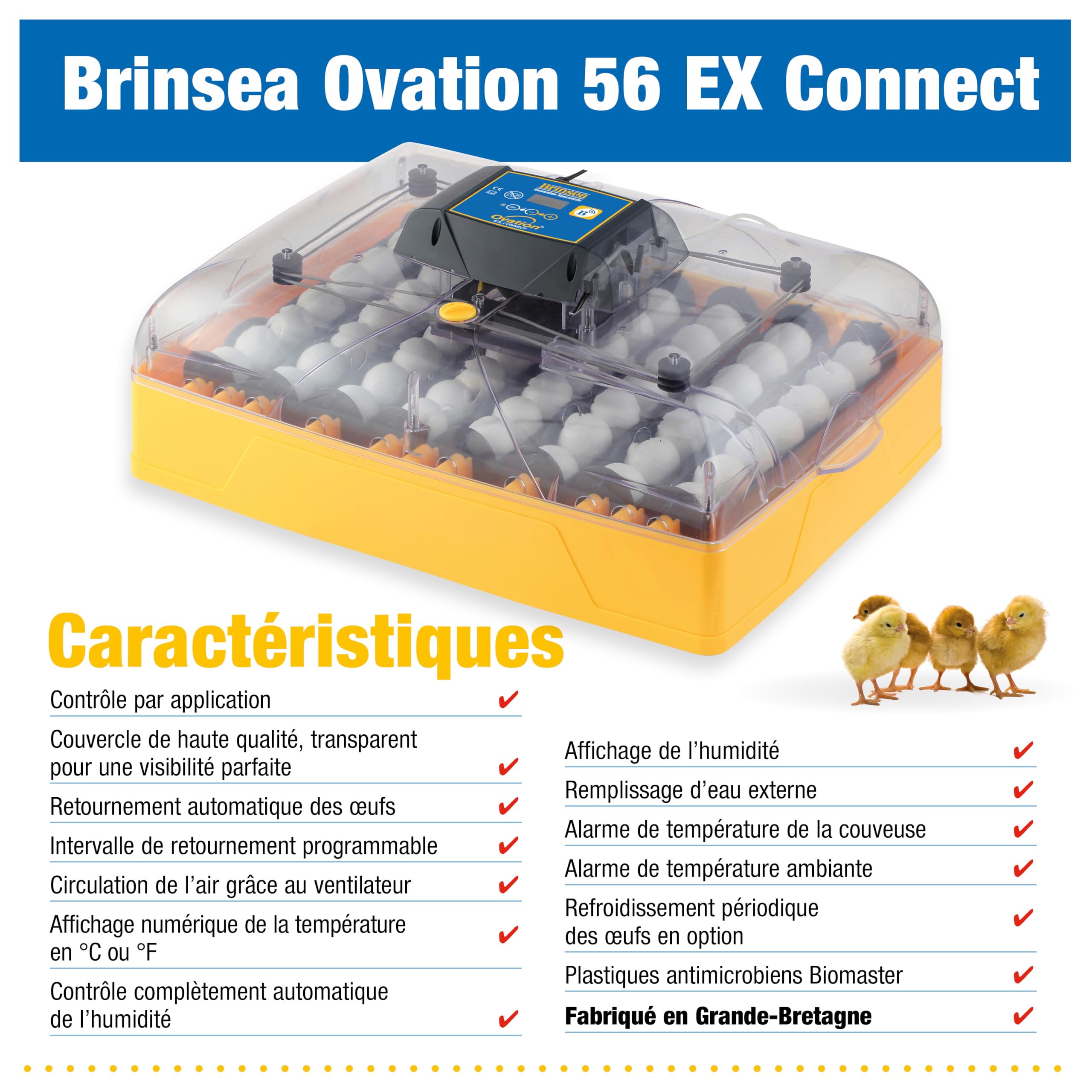 Incubadora Brinsea Ovation 56 EX Connect – Incubadora totalmente automática para 56 huevos de gallina con control mediante aplicación móvil.