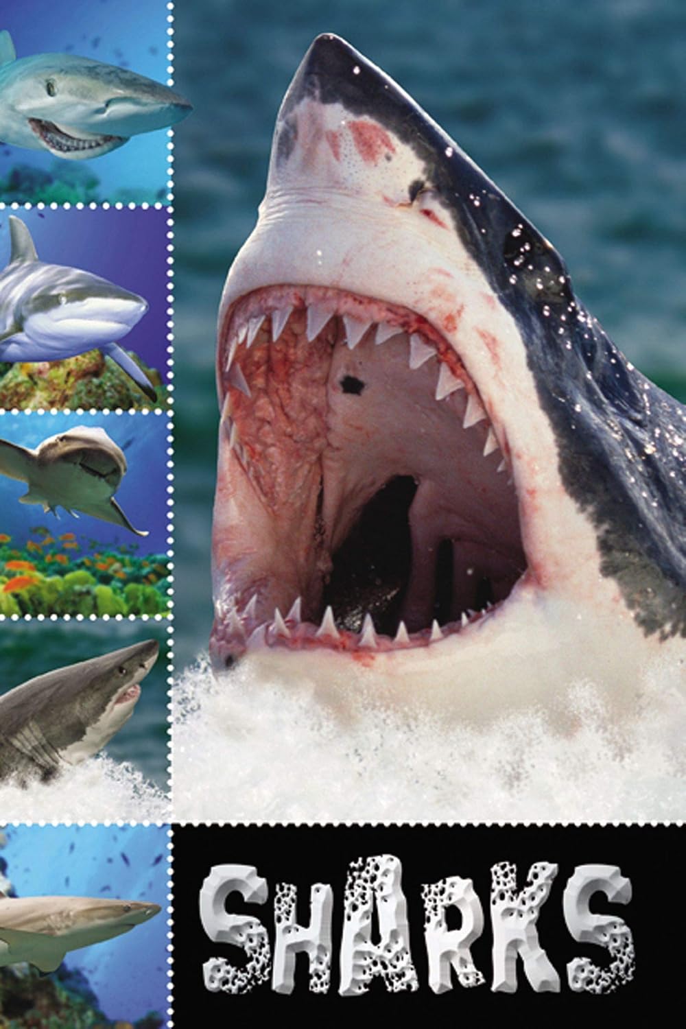 Sharks (Ready To Read)      Paperback – January 30, 2011