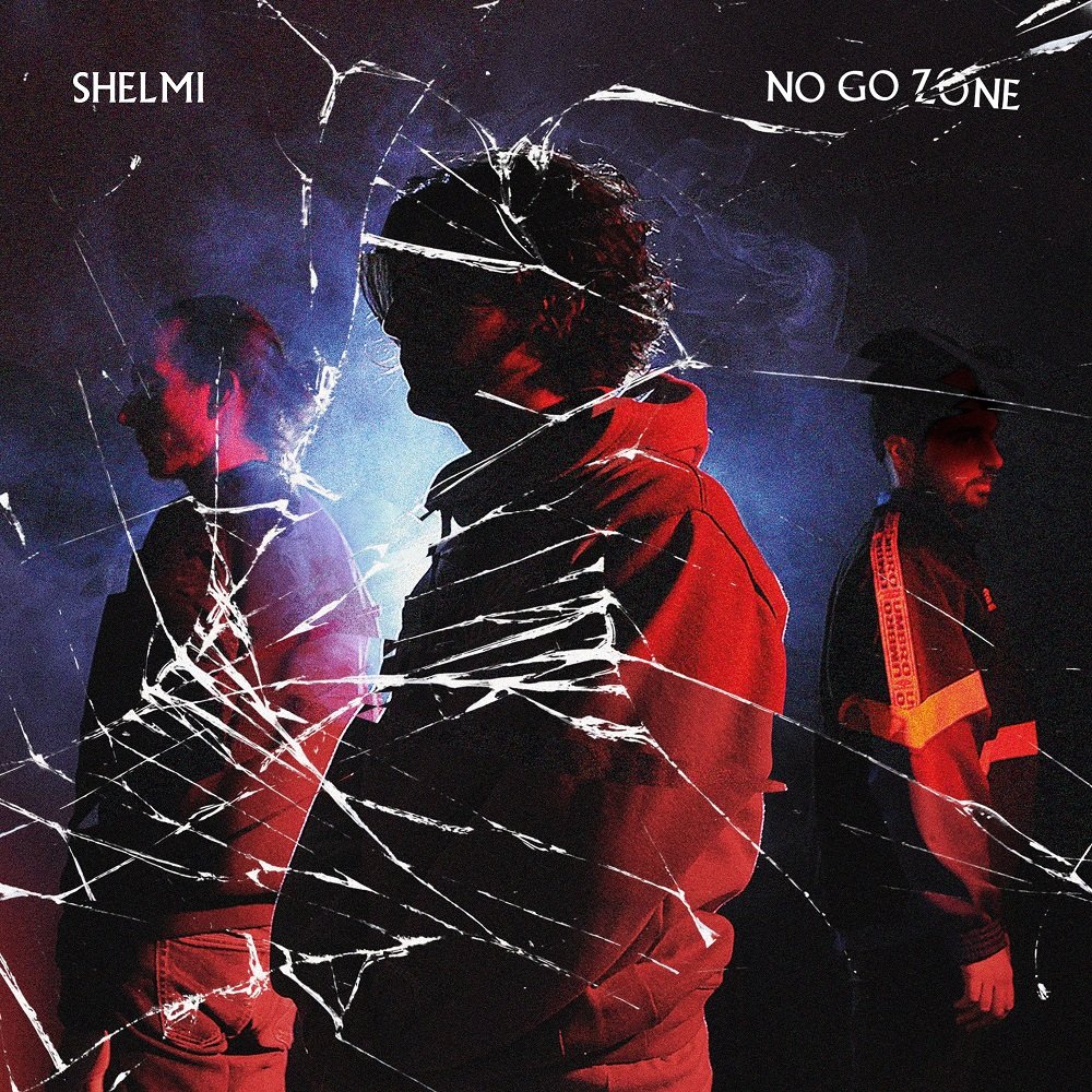 No Go Zone [Audio CD] Shelmi