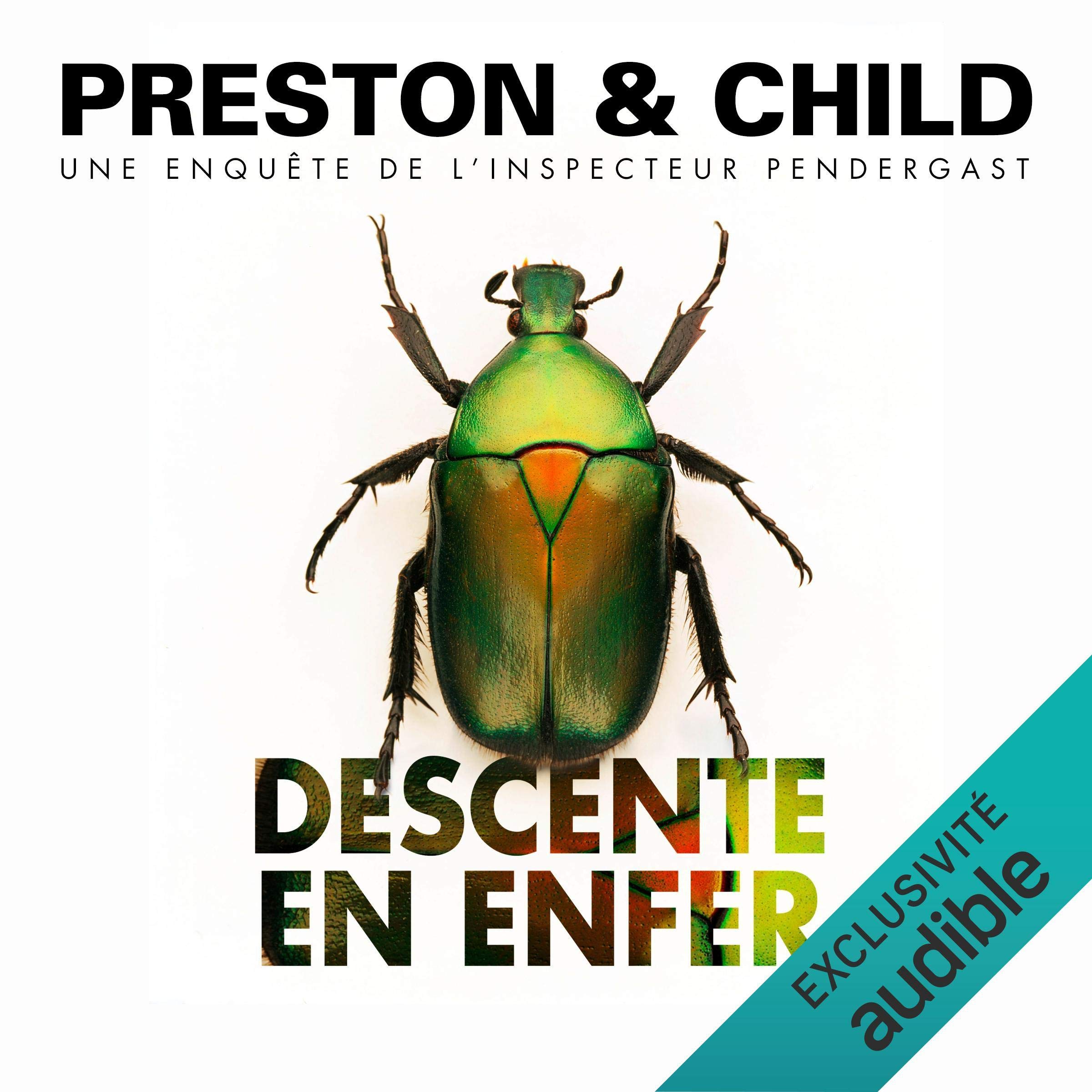 Cover art for Descente en enfer