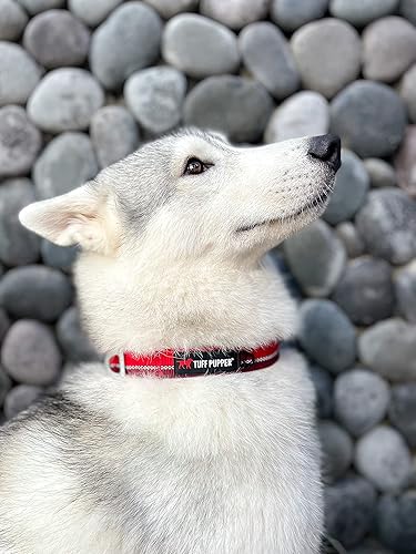 Miniatura 9 de Tuff Pupper Collar de perro resistente  Collar resistente para perro  Collar reflectante para perro con clip de correa de aluminio en D  Accesorio