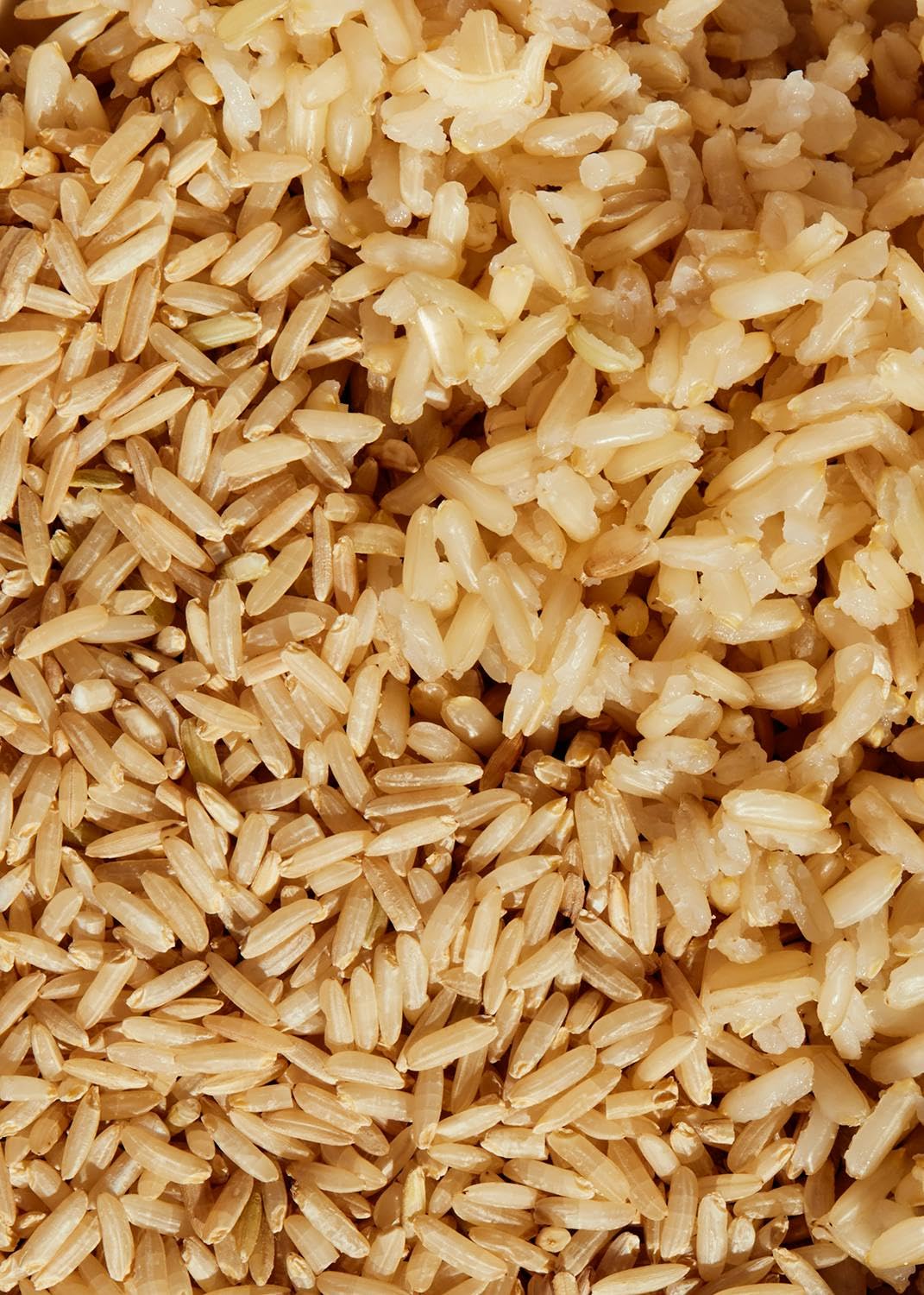 KoRo - Riso integrale germinato 2 kg - lievemente dolce, aroma intenso - da agricoltura biologica - confezione convenienza