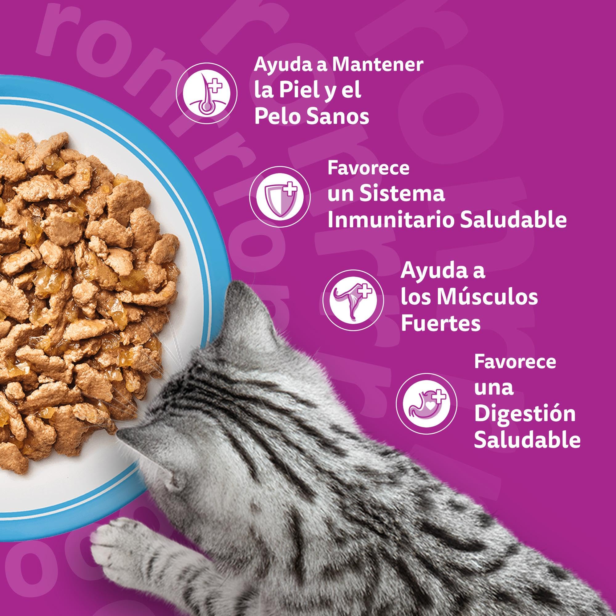 Whiskas Comida Húmeda para Gatos Adultos Selección Pescados en Gelatina (Multipack 4x12x85g)