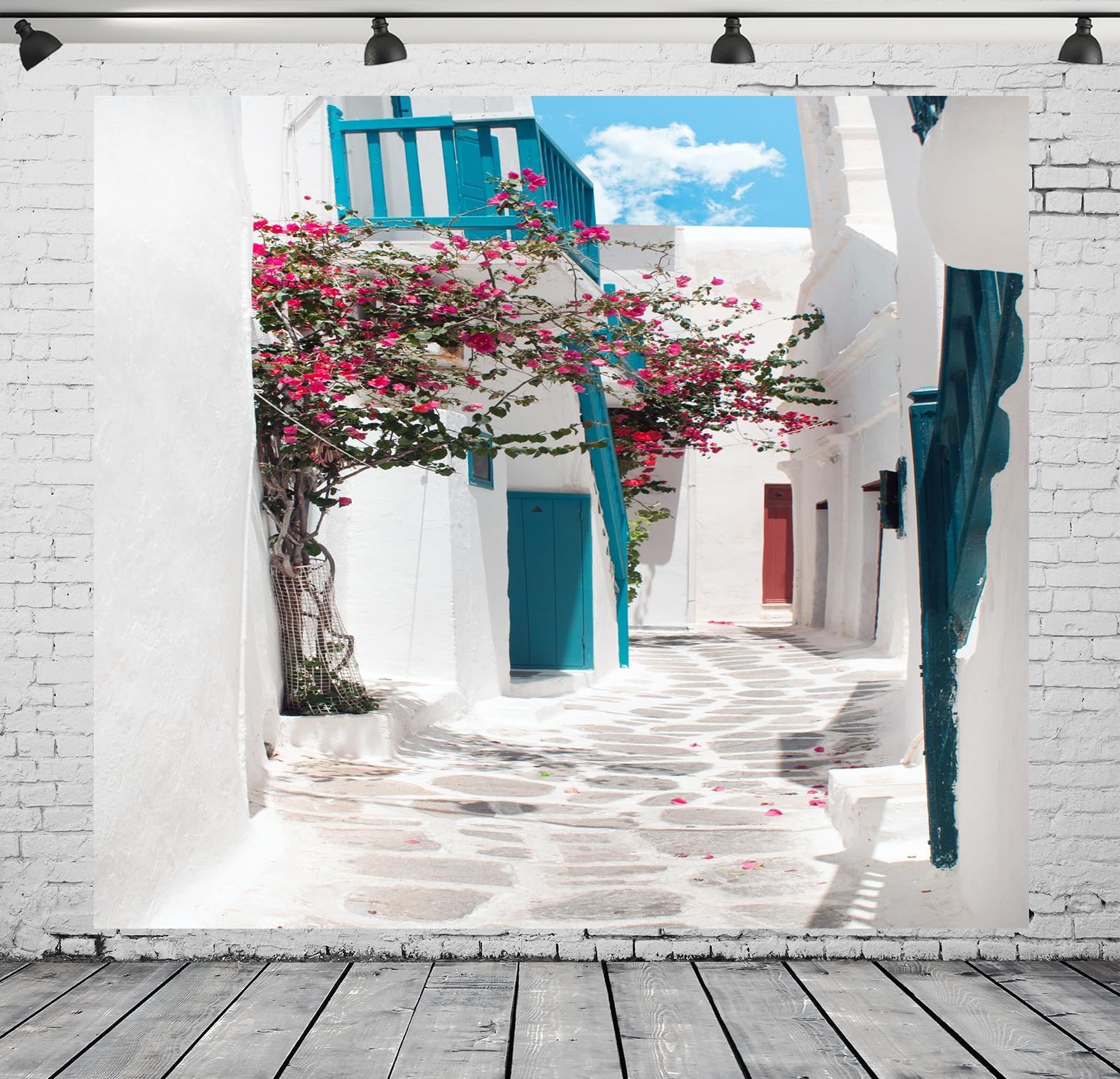 CORFOTO 10x10ft Greece Street Backdrop Narrow Street Background Mia Birthday Party Decorations Mia Themed Backdrop Greece Themed Party Decorations Greek Party Supplies Stone Path Wedding Banner Decor