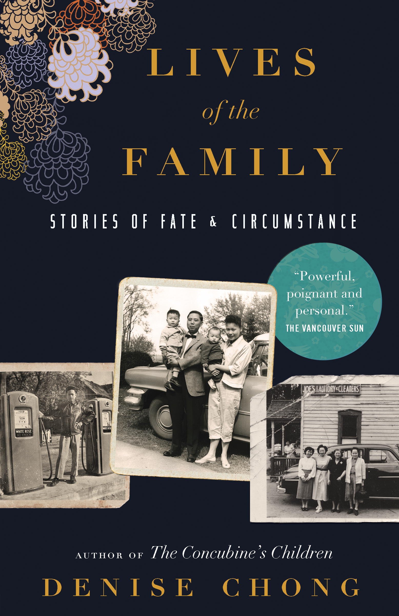 Buy Lives of the Family: Stories of Fate and Circumstance — BookShops.in
