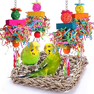 Bird Toys Parakeet Toys Conure Toys Bird Foraging Wall Toy,Seagrass Woven Hammock Swing Mat for Climb Perch Swing with Colorful Wooden Chewing Toys for Lovebirds,Parakeets,Conure,Cockatiel (Middle)