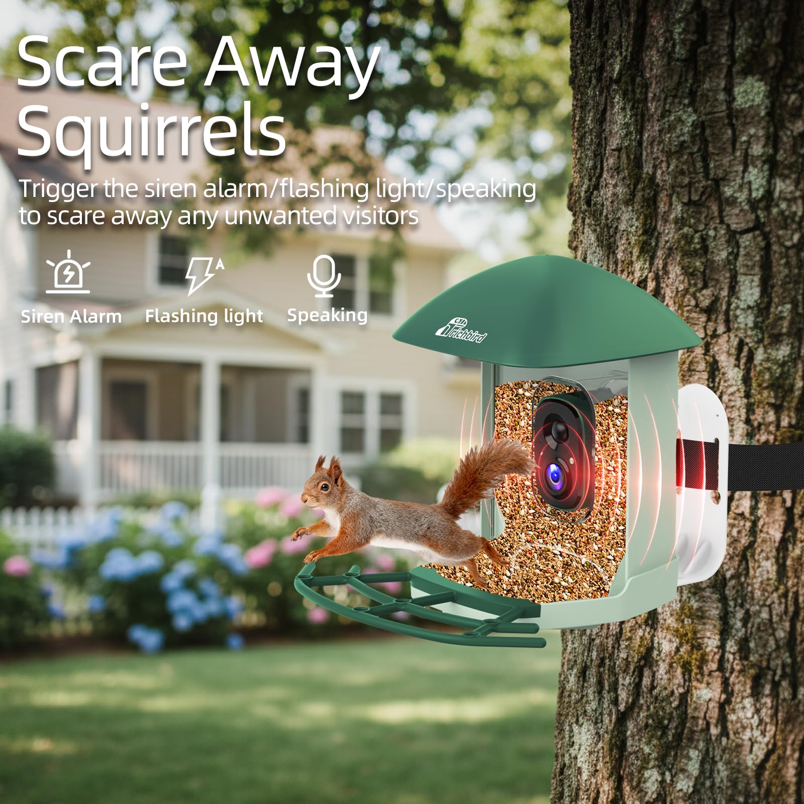 Comedero inteligente mejorado para pájaros con cámara HD 4K, cámara de observación de aves con IA para identificar pájaros y panel solar para exteriores, captura automática de video y notificaciones