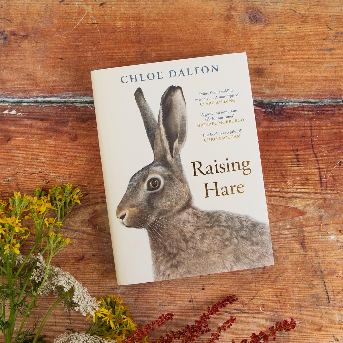 Raising Hare: The heart-warming true story of an unlikely friendship - Image 2