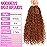 Goddess Boho Box Braids Crochet Hair-8 Packs 14 Inch Crochet Box Braids for Black Women Pre Looped (30, 14 Inch (Pack of 8))