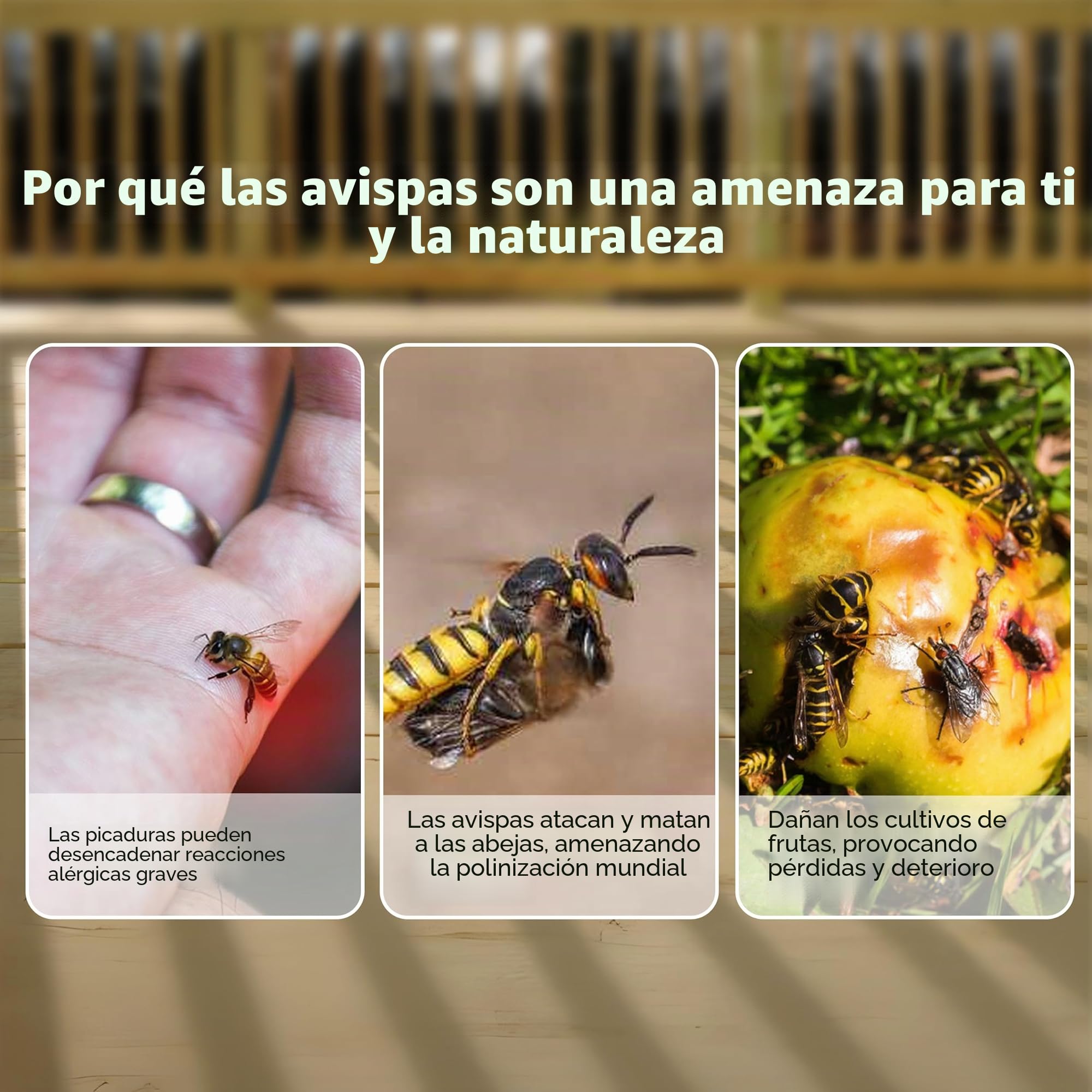 ASPECTEK Trampa para Avispas Trampa para Avispón, Abeja y Avispa Abejorro. 2 Unidades (Trampa de Abeja)