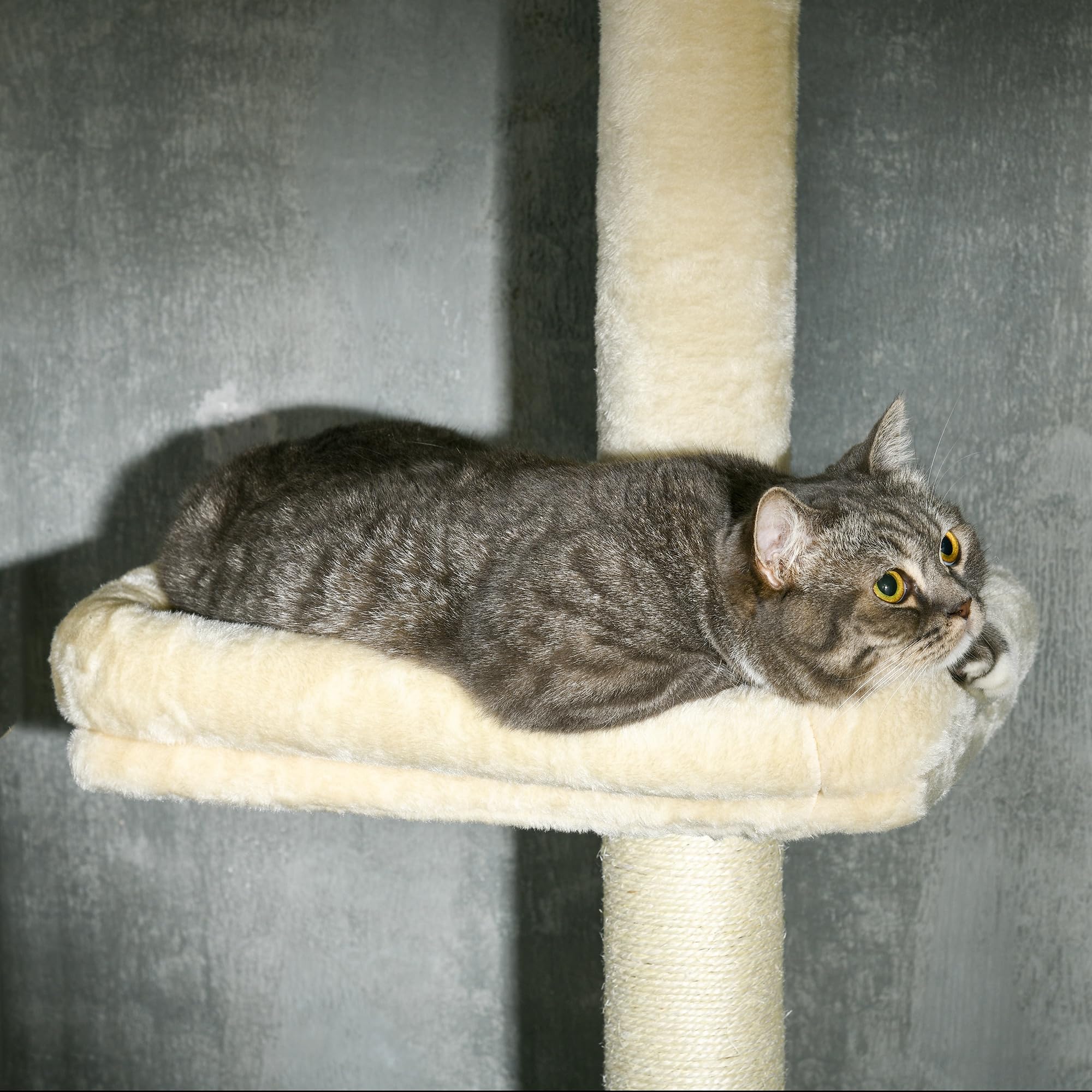 PawHut Arbre à Chat Hauteur réglable de 230 à 260 cm Tour de Jeux pour Chat Poteau à griffer 4 Niveaux d'activités avec Niche Peluche Beige