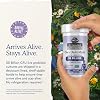 Product Photo 7