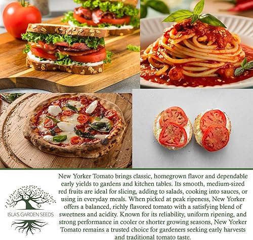 Miniatura 5 de Semillas de tomate New Yorker para plantar, más de 100 semillas de reliquia por paquete, semillas de jardín de Isla (semillas de jardín de Isla),