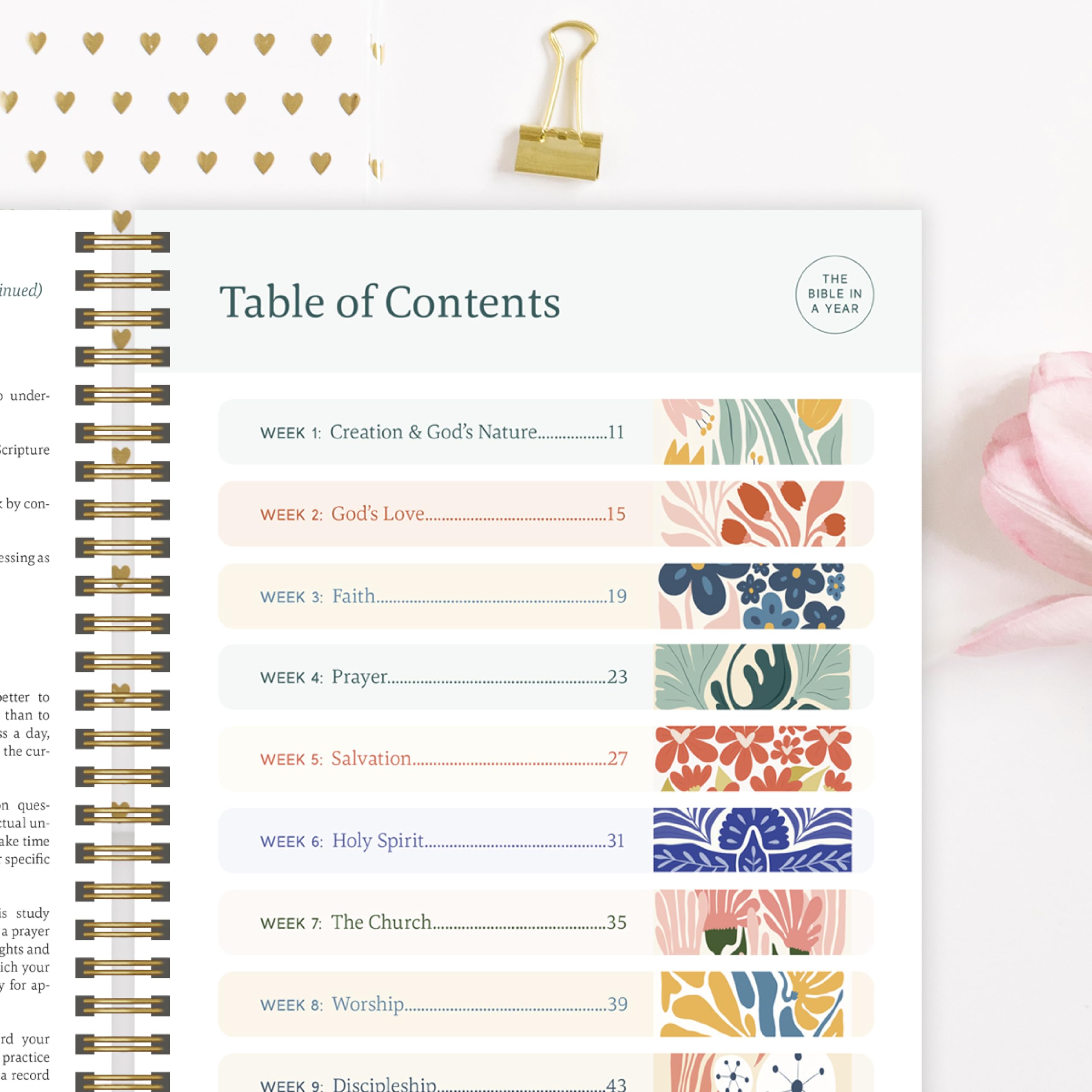 Official Spiral Bible™ Bible in a Year Essentials Bundle de tapa dura | Plan de lectura guiado de 365 días con guía de estudio, resaltadores pastel, bolígrafos y notas adhesivas transparentes para