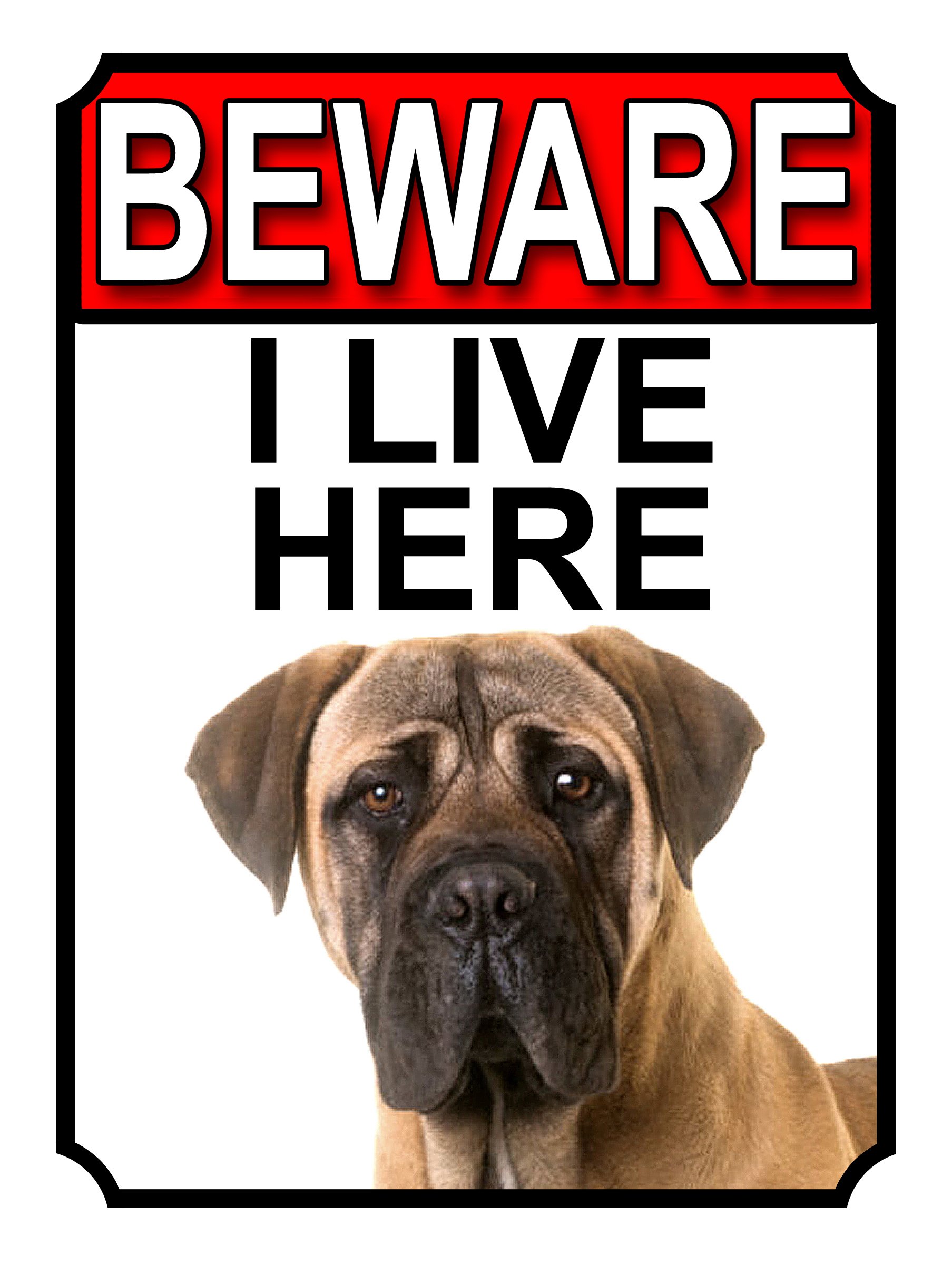 BEWARE I LIVE HERE METAL GATE SIGN BULLMASTIFF 200MM X 10MM (1056H1)