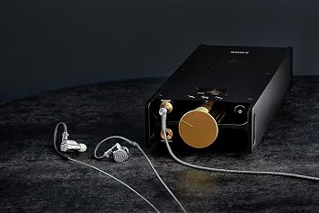 Sony IER-Z1R Signature Series in-Ear Headphones (IERZ1R),Black/Silver