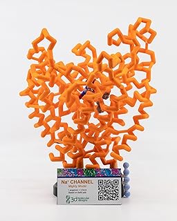 Sodium Channel Mighty Model© - 1 Model