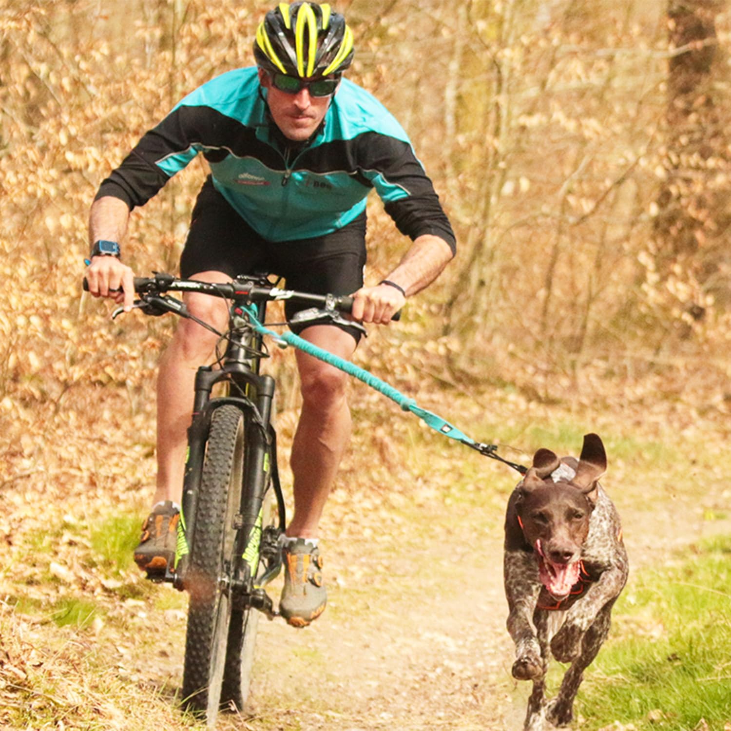 Barre VTT Link Gamme ALM déport 50cm (Roue Jusqu'à 29 Pouces) Barre VTT pour LA Pratique du CANI VTT ET DE LA CANI Trottinette.