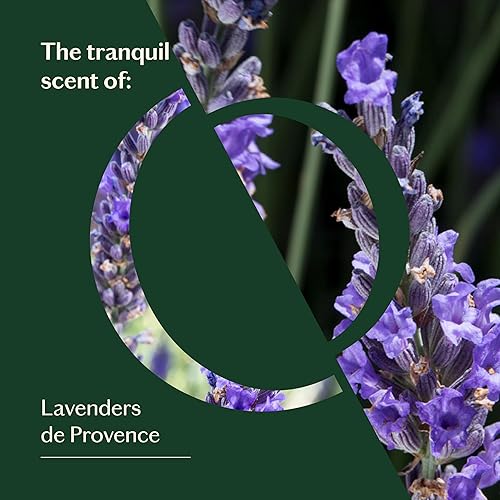 Miniatura 3 de LIVEDROPS 247 Well-Feeling - Aceite esencial de lavanda relajado, aroma tranquilo de lavanda, fabricado en Francia, puro y natural, aromaterapia,