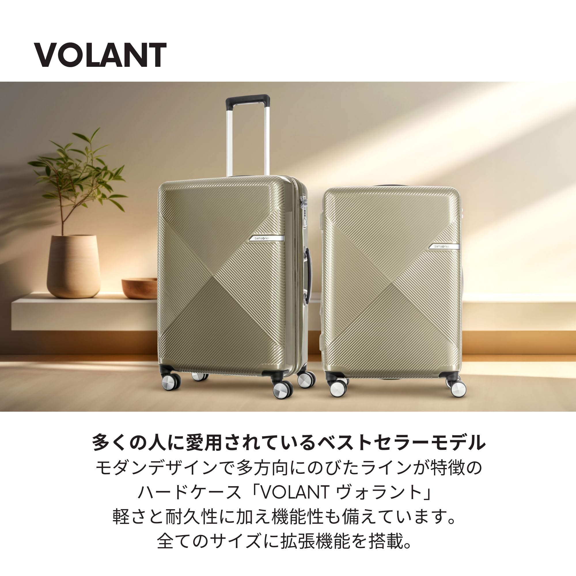 Amazon.co.jp: Samsonite: フロントオープンタイプ