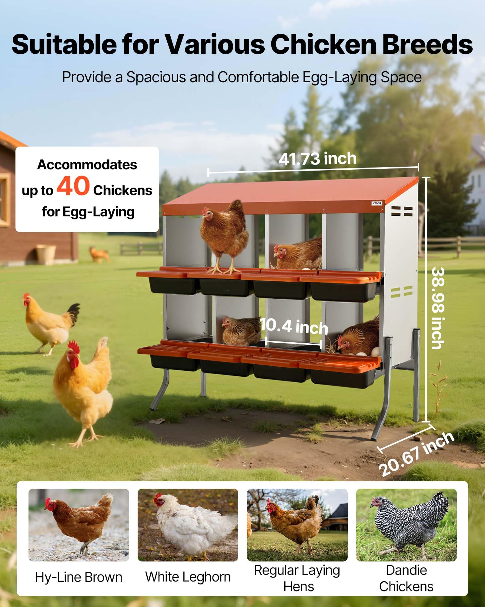 VEVOR Nido con Cassetto di Raccolta Uova per Galline, 8 Scomparti con Gambe di Supporto, Facile Raccolta, Acciaio Zincato e Plastica ad Alta Resistenza, Nido per Deposizione di Uova di Gallina