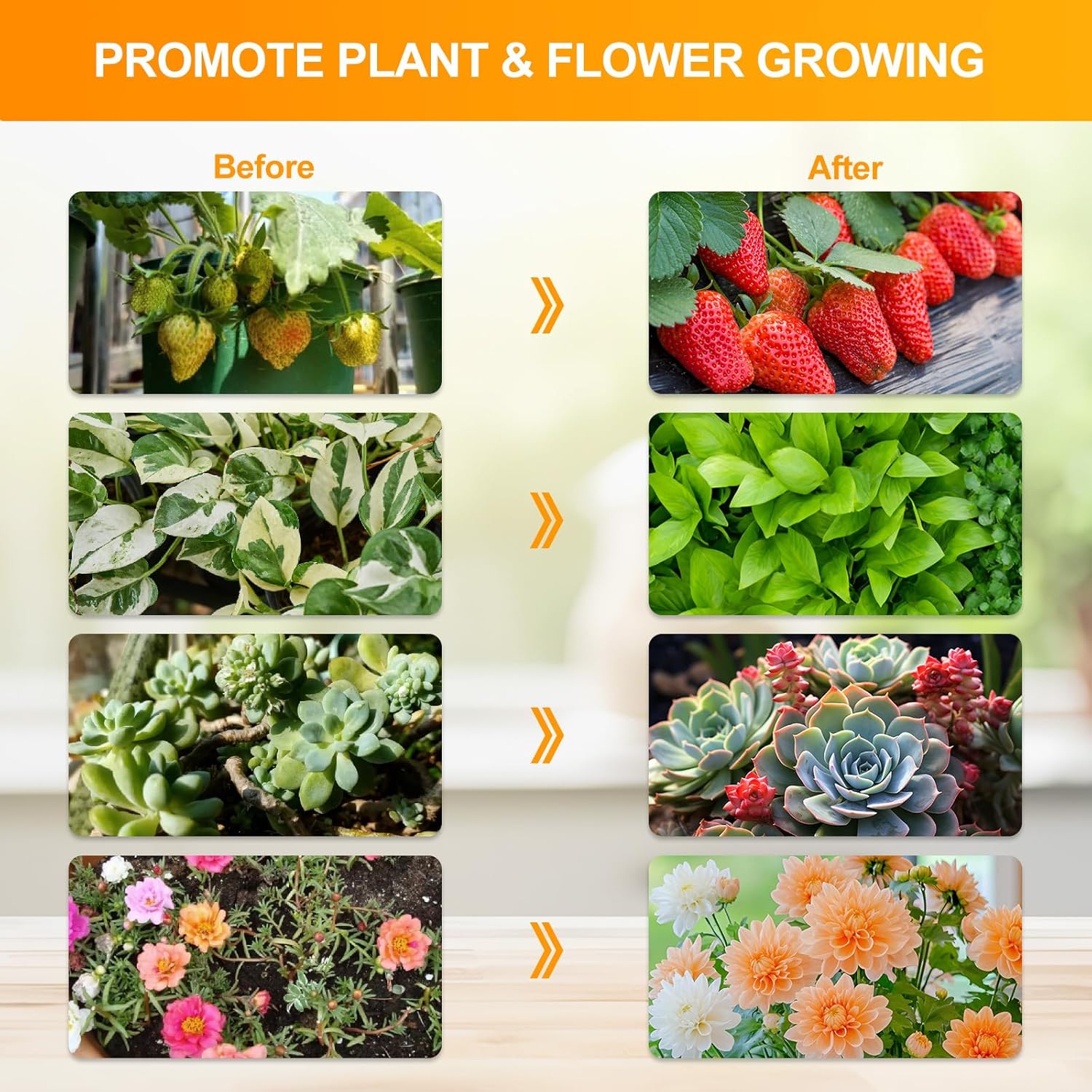 FECiDA 2026 4Head Grow Light with Stand, 100 Watt Power Draw, Bright and Big Coverage Grow Lights for Large Houseplants, Bonsai Tree, 4/8/12/16/20 Hr Timer, 24"-72" Height Adjustable, 360° Gooseneck - Image 7