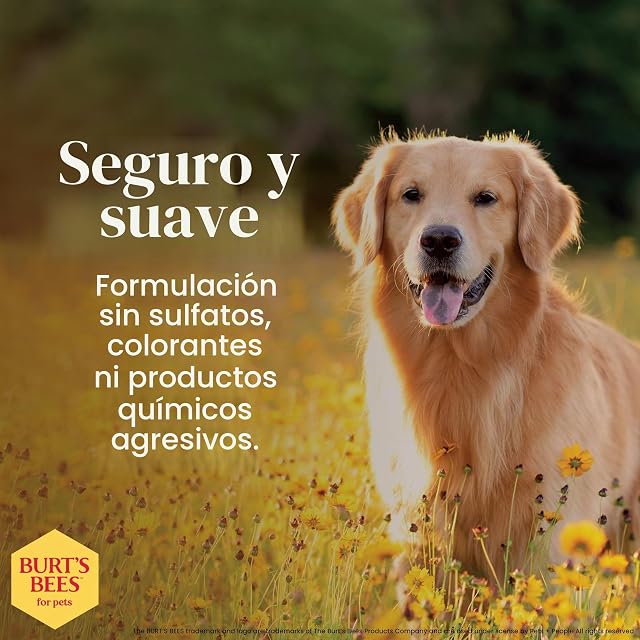 Foto 2 de 8 de Burt's Bees For Dogs Paw & Nose Lotion by