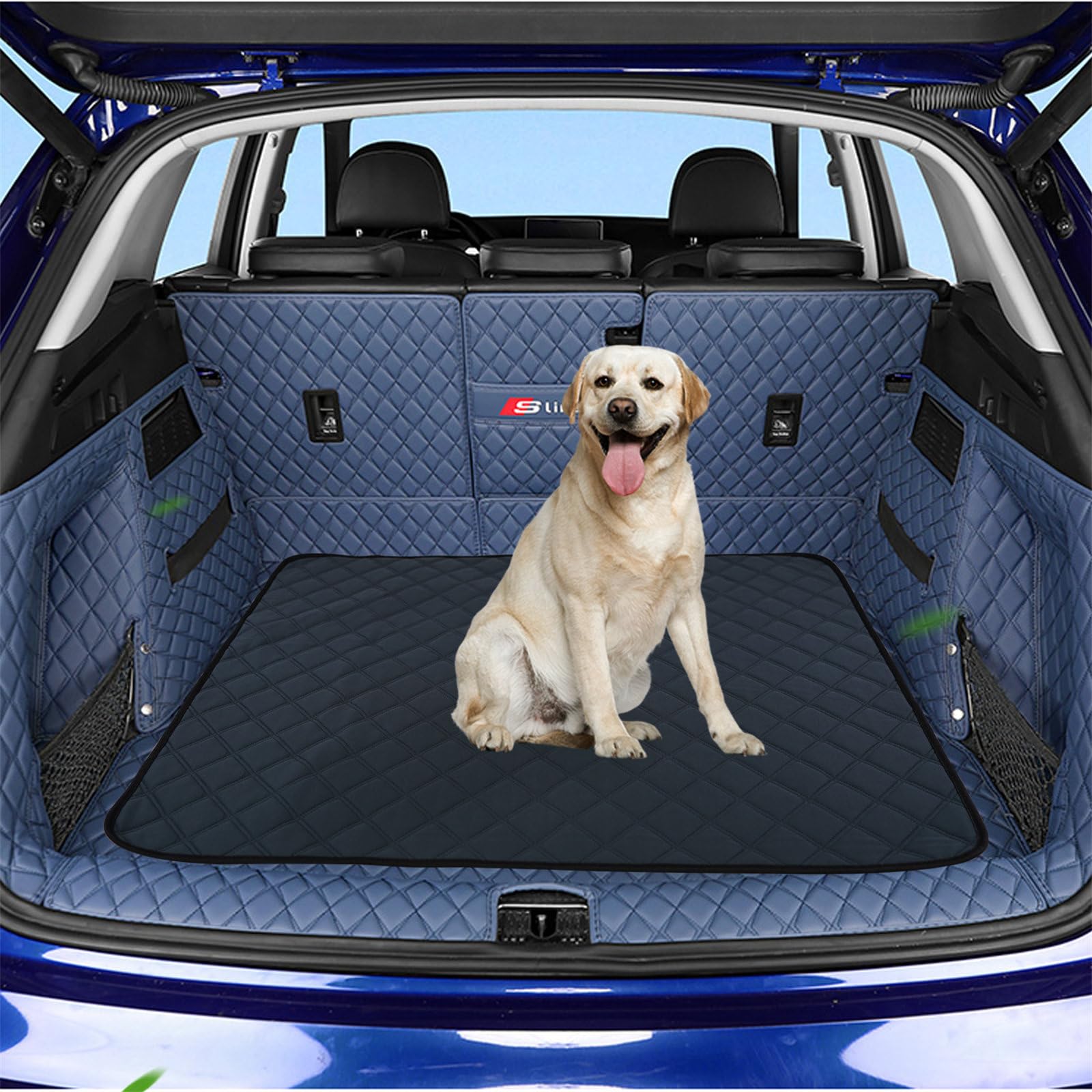 FANSU Impression en Couleur Unie Tapis Absorbant Chien, Tapis Éducateur pour Chien Lavable Réutilisable, Antidérapants Alèse Tapis Chien Pipi, Tapis propreté pour Animaux (183x183cm,Gris)