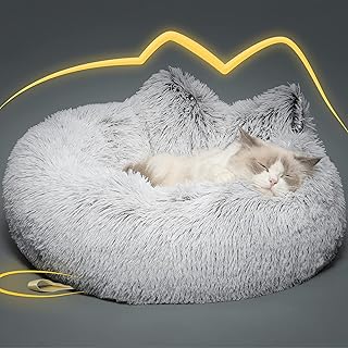 amazingly cat bed